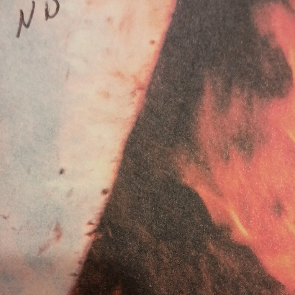 'Chasing Fire' by Nora Roberts, 472 pages - Picture 9 of 9